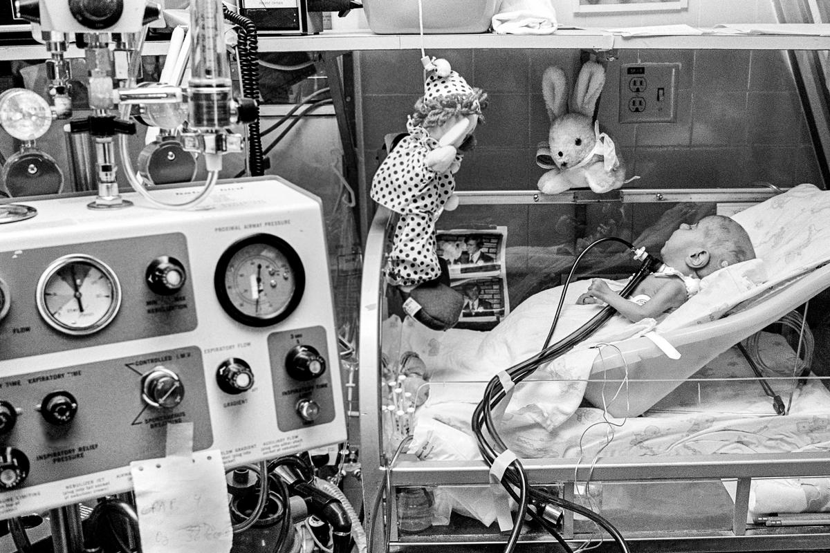 Preemie Baby unit at St Joseph's Hospital. Baby in I.C.U. with breathing tube inserted into his trachea, surrounded by stuffed animals bought by relatives and nurses. Phoenix, Arizona USA