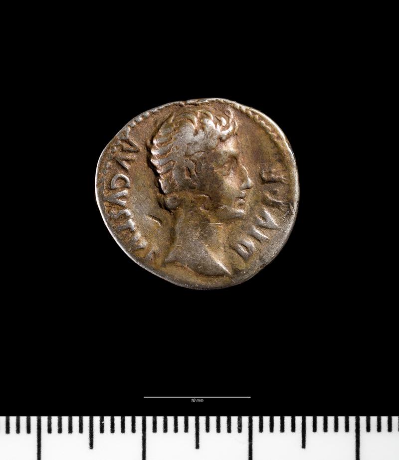 Augustus denarius (obv.)