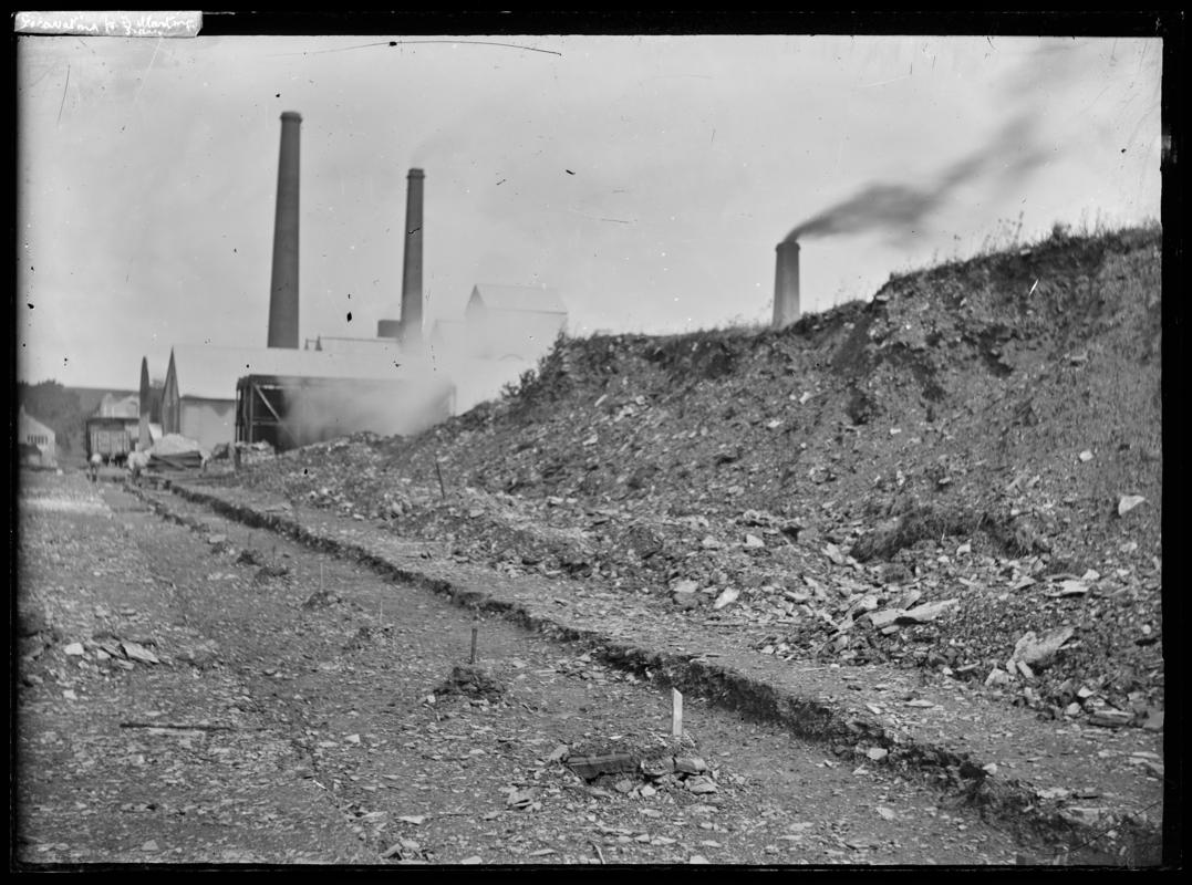 Glass Plate Negative - (Positive inversion copy)