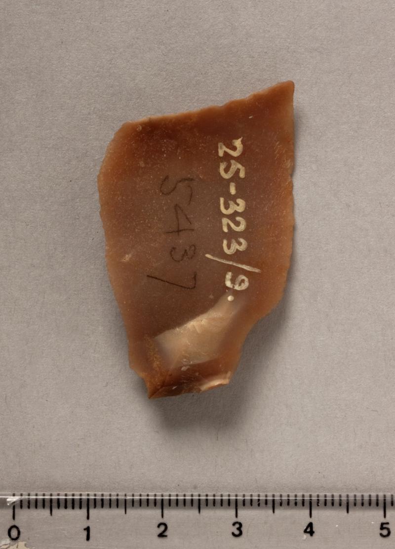 Prehistoric flint flake