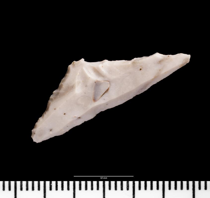 Early Mesolithic flint microlith