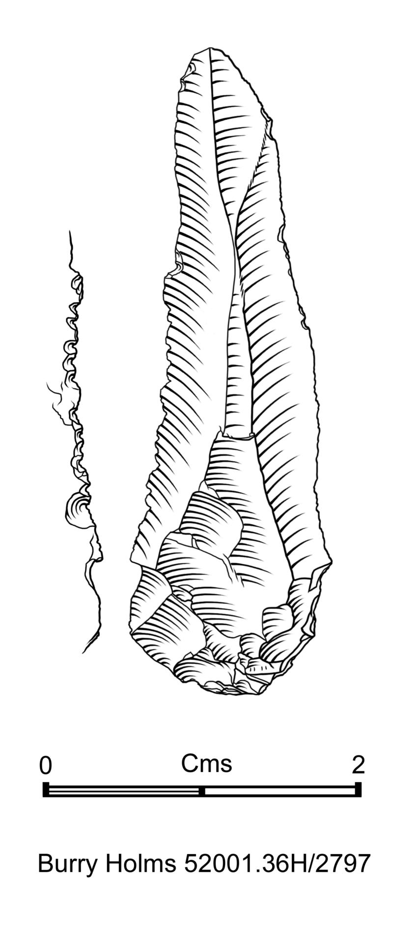 Early Mesolithic flint microdenticulate