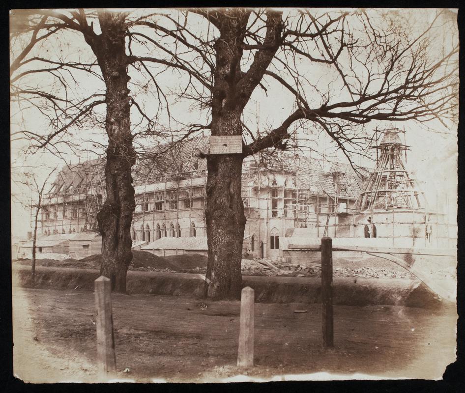 Oxford University Museum of Natural History, photograph