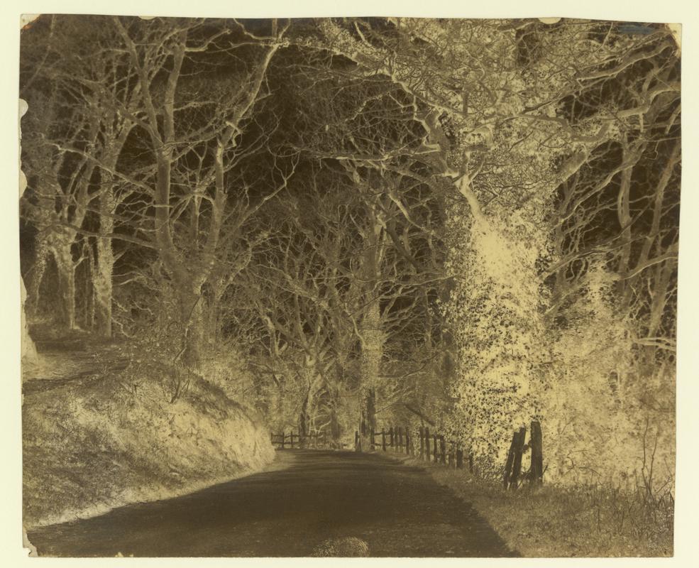 Penllergare, drive, negative