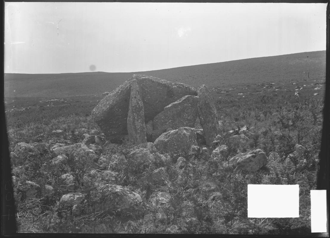 Photographic Negative