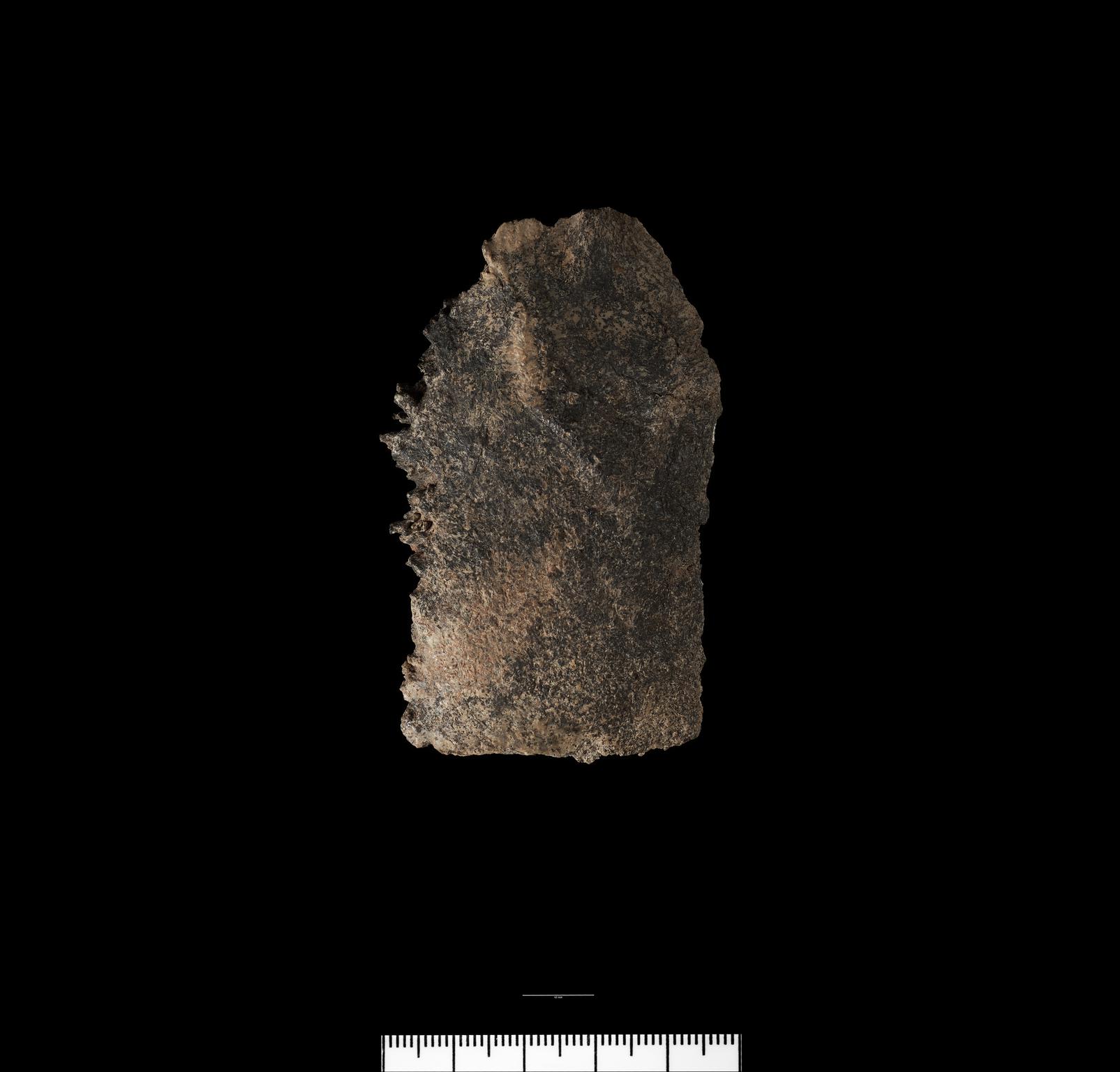 Prehistoric human bone