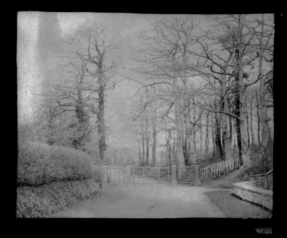 Penllergare, drive, negative