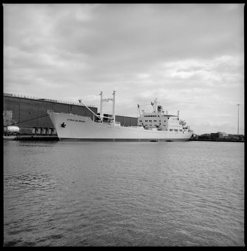 M.V. CITRUS DO BRASIL, negative