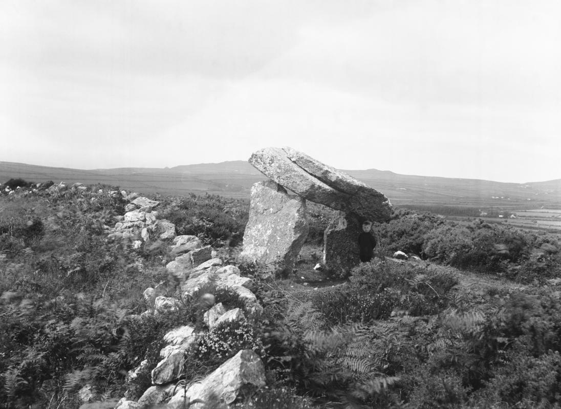 Trellys from south-east by south in 1913