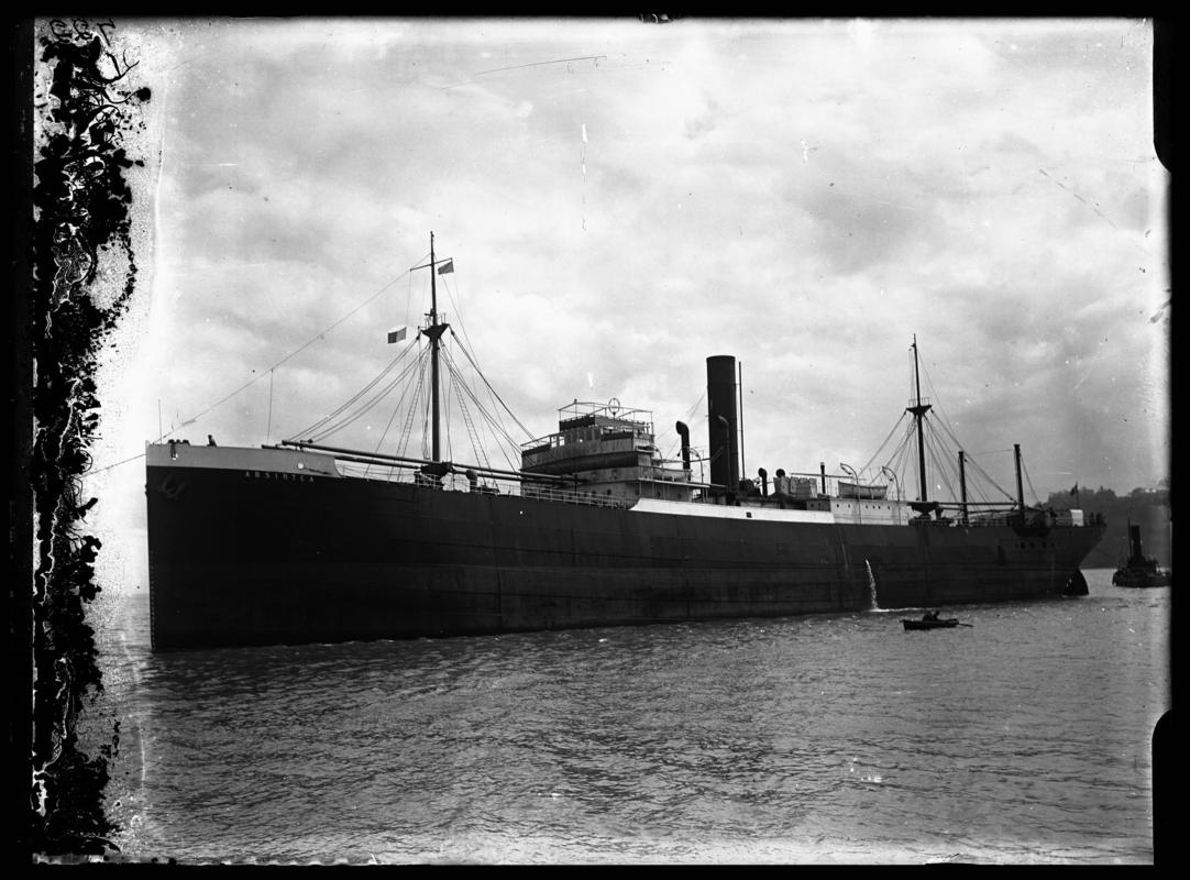 S.S. ABSIRTEA, glass negative