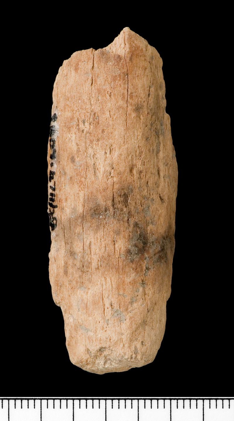 Mesolithic bone scraper