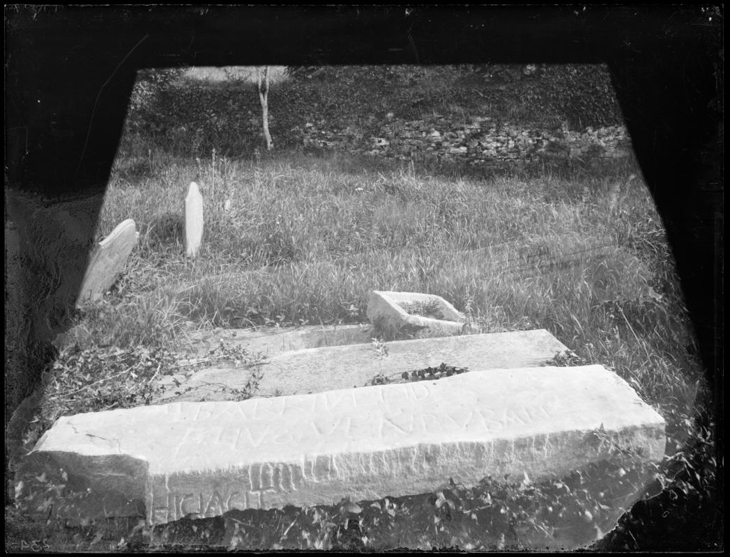 Photographic Negative