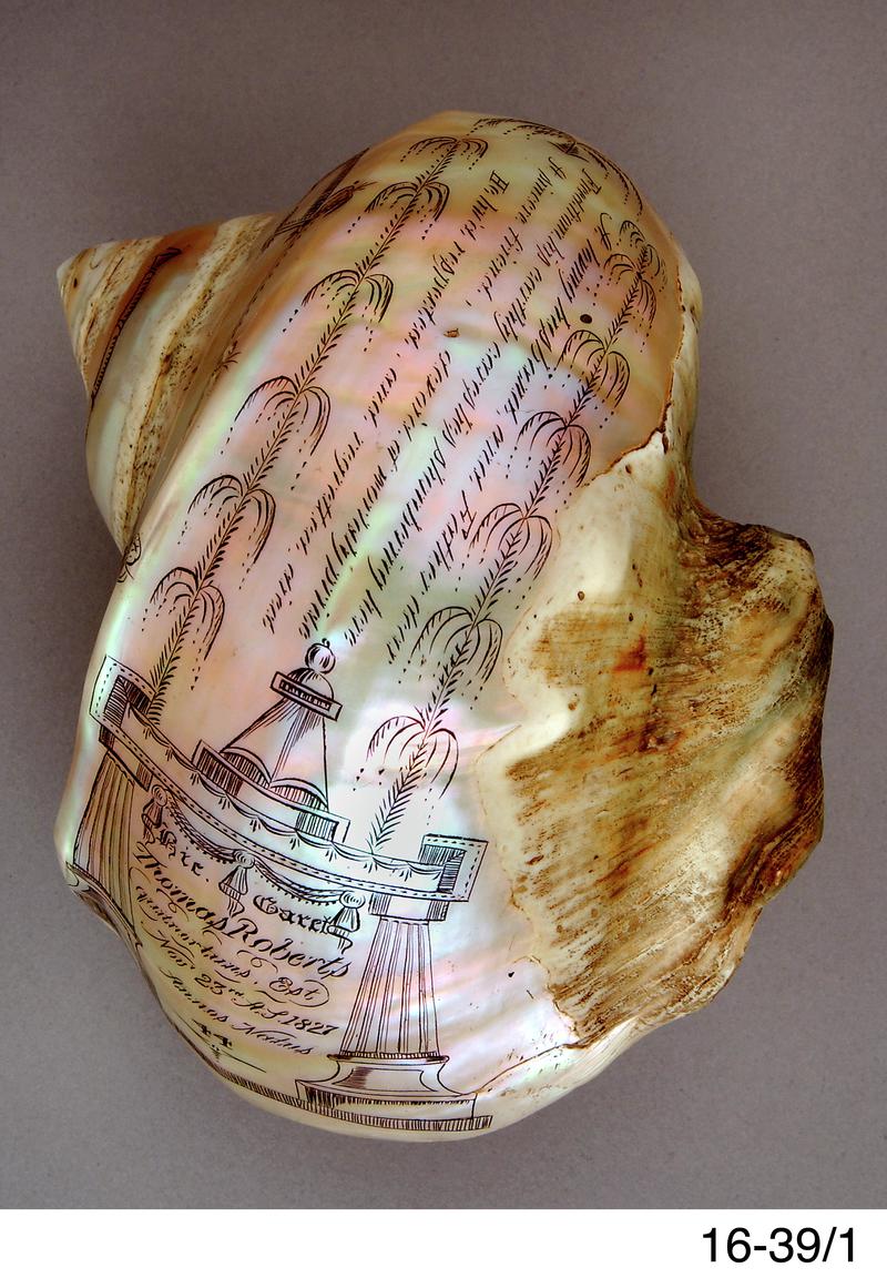 Memorial shell