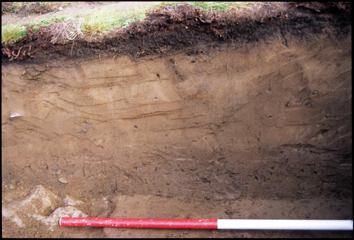 Burry Holms, Gower. 2001 Trench 4. Section at the east of the trench. Sequence shot 9.