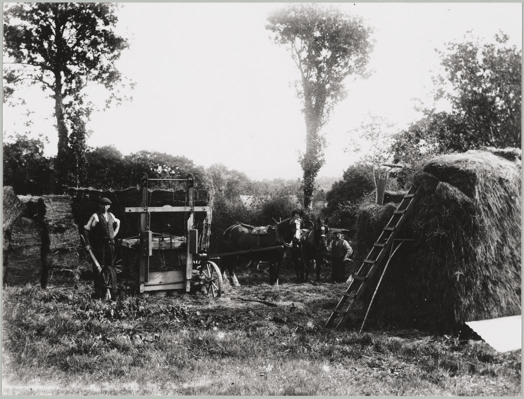 Photograph (print)