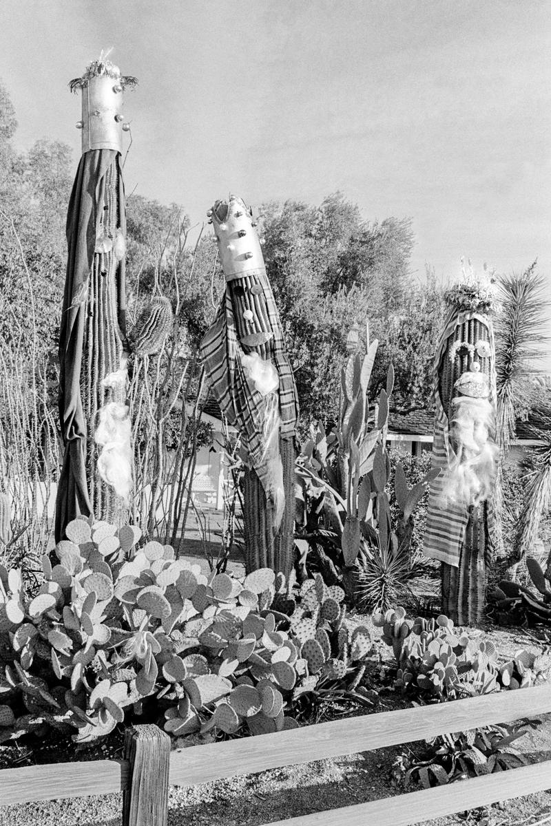 USA. ARIZONA. Phoenix desert garden. Cactus dressed up as Three Wise Men. 1980.