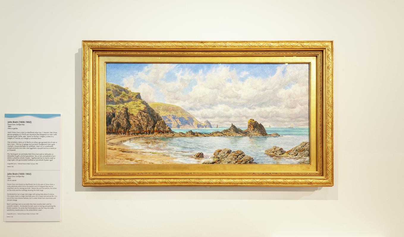 Traeth Fforest, Bae Ceredigion