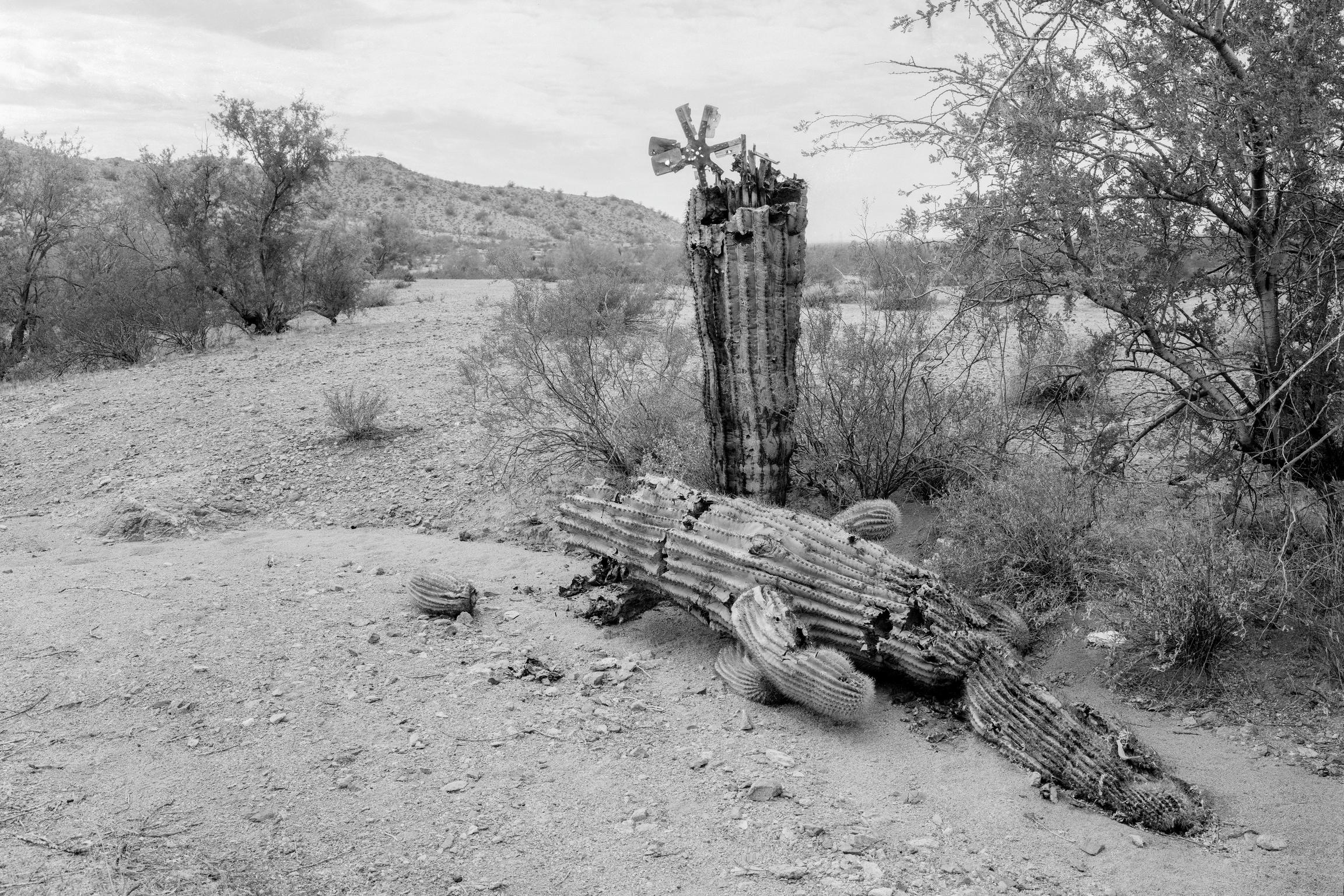 Target shooting in the desert just outside of Phoenix, Arizona USA
