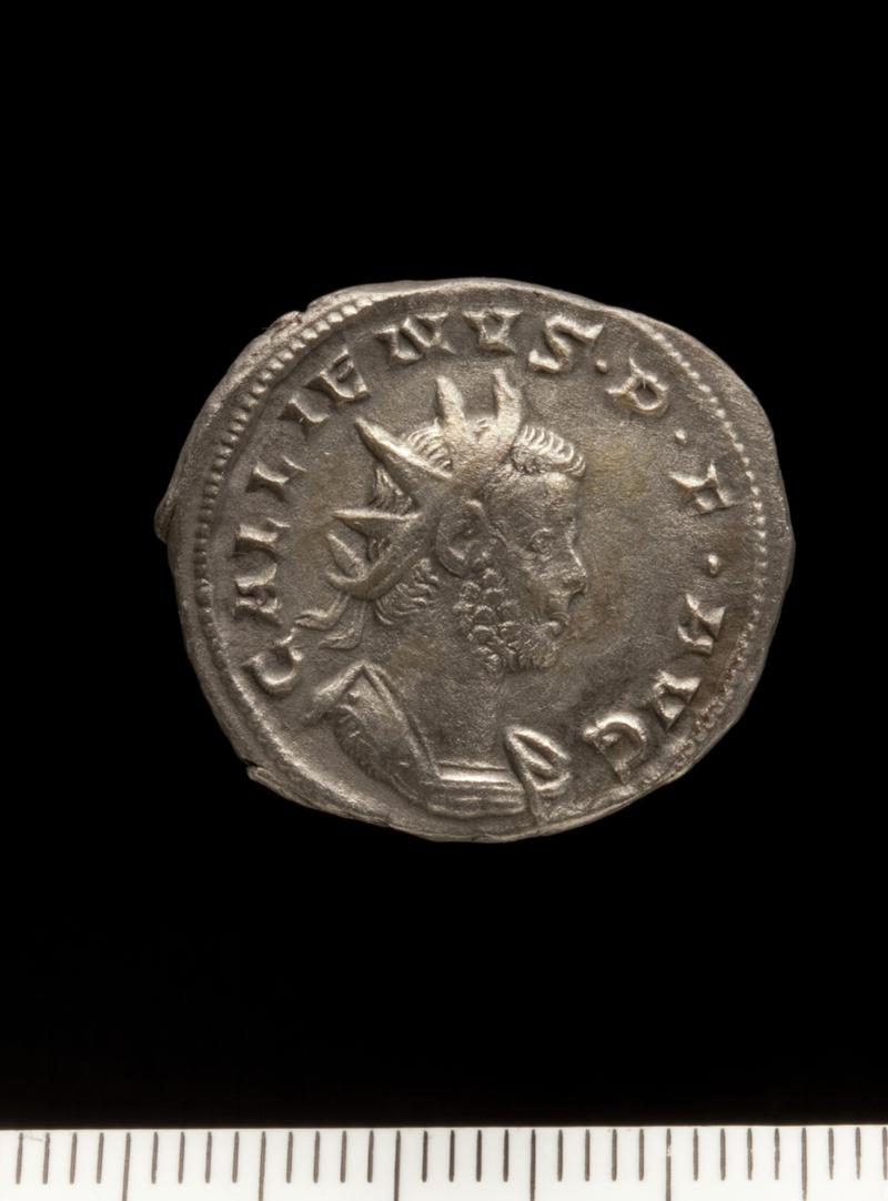 Sully Hoard I (1899)