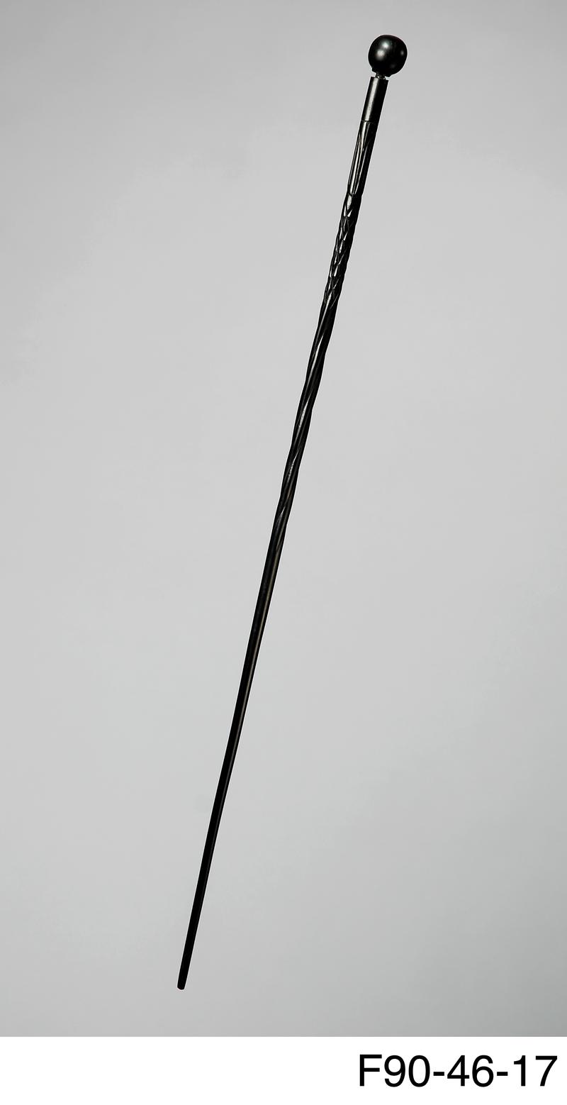 Walking stick