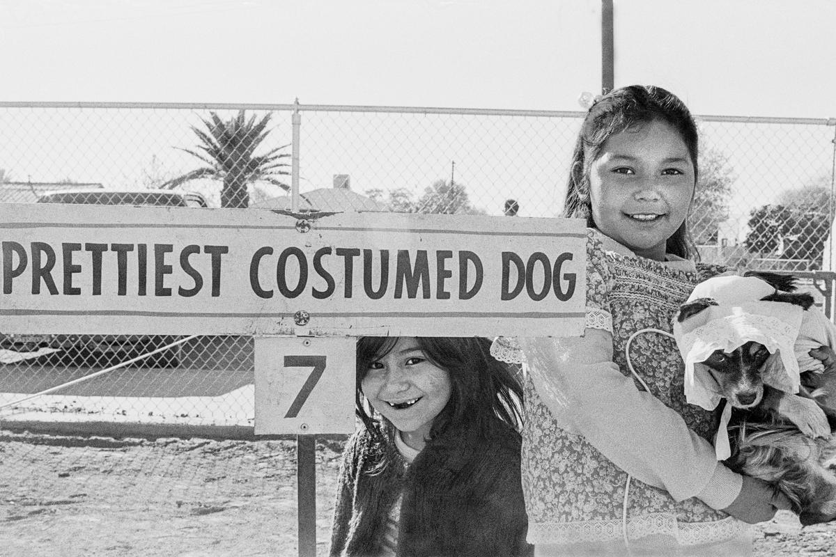 USA. ARIZONA. Phoenix. Annual Mutt show open to all types of dogs. 1979.