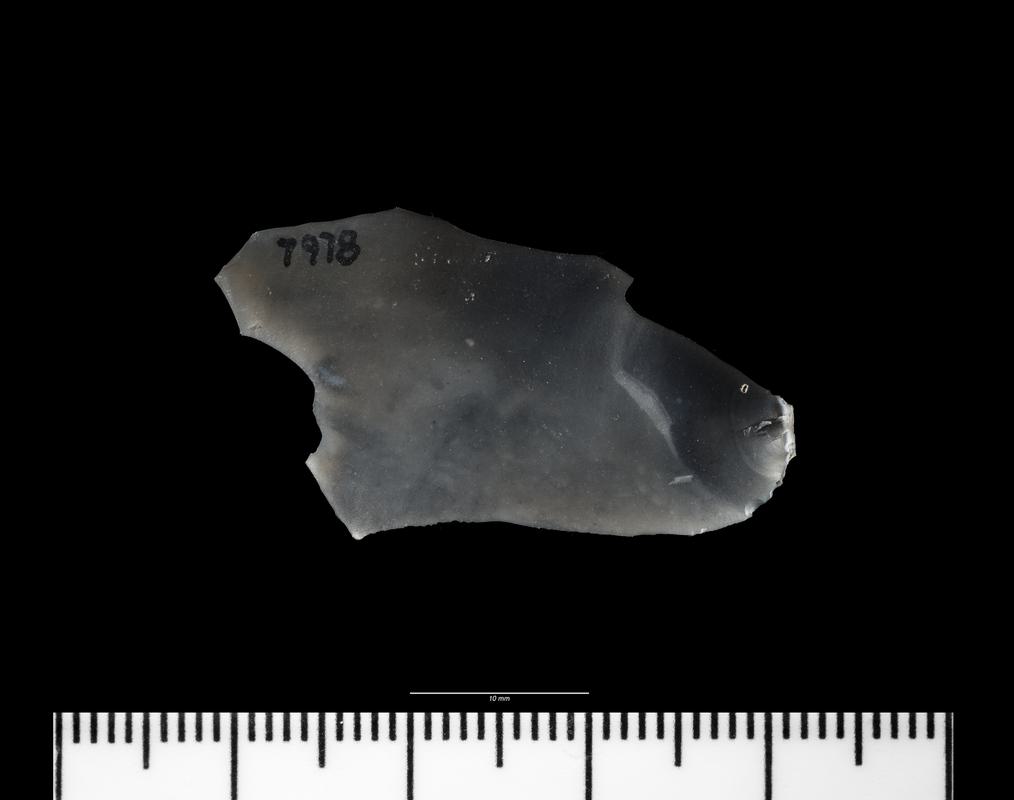 Mesolithic flint flake