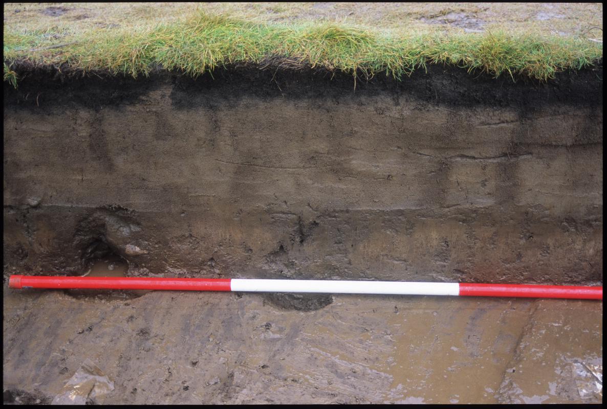 Burry Holms, Gower. 2001 Trench 4. Section at the north of the trench. Sequence shot 16.