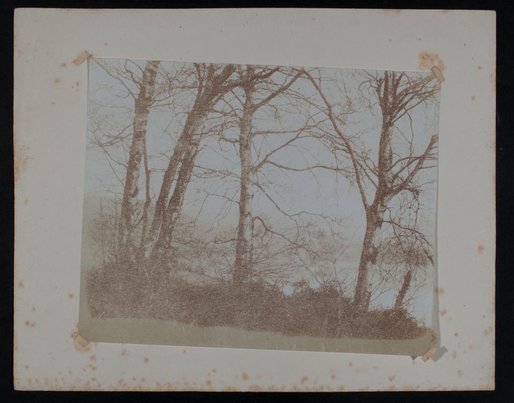 Penllergare, lake, photograph