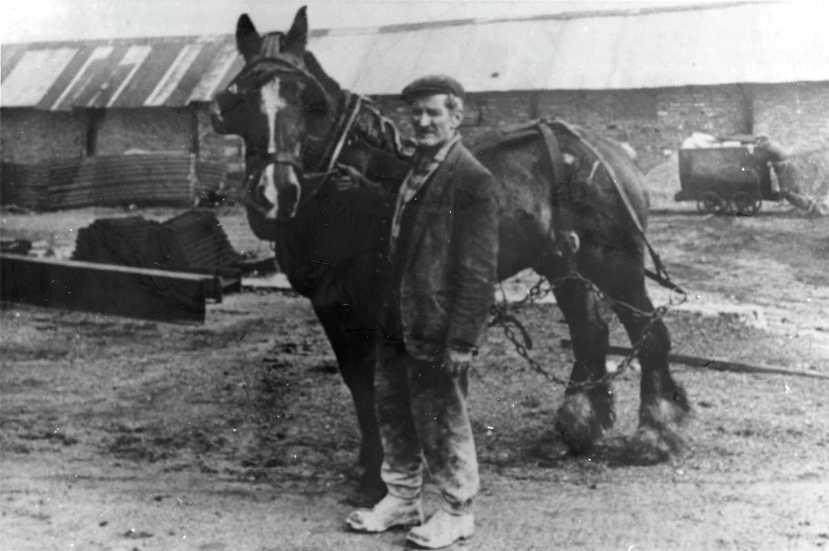Colliery horse in 'traces' on surface of Big Pit