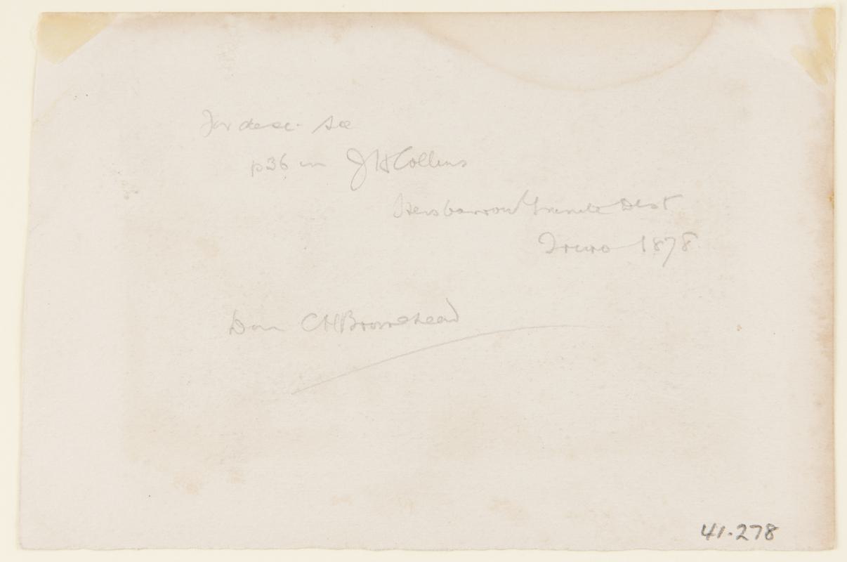 Carclaze Tin Mine, Near St. Austle (print)