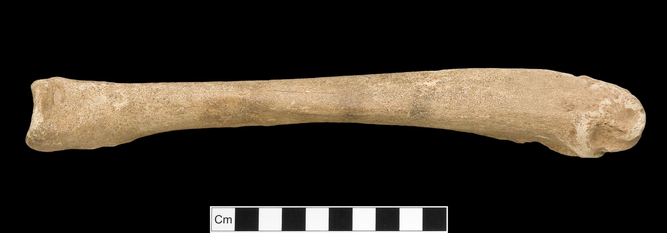 Early Medieval bone trial piece