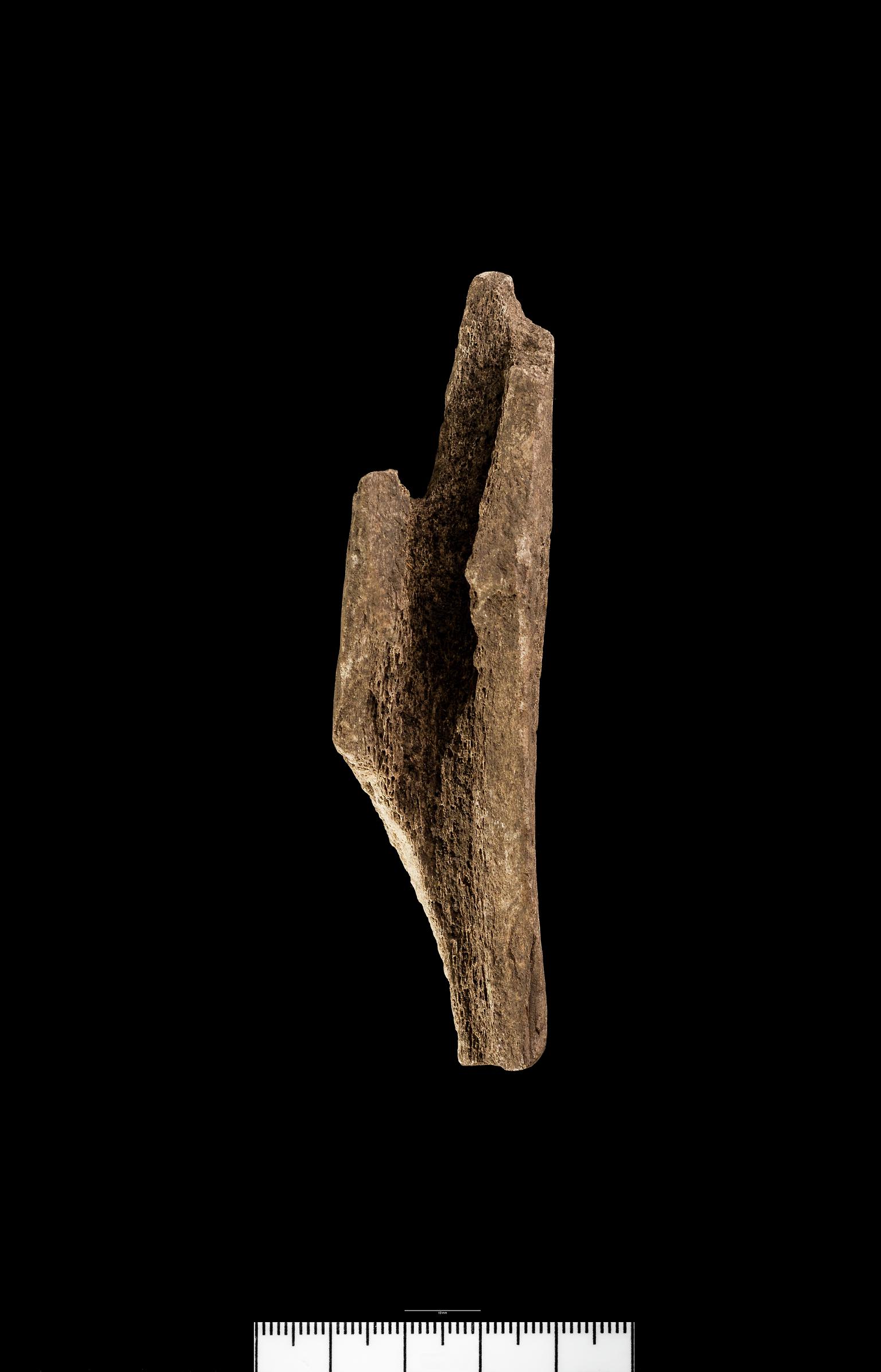 Iron Age / Roman antler handle