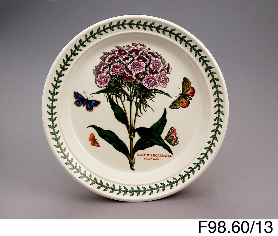 Portmeirion plate (botanic garden pattern)