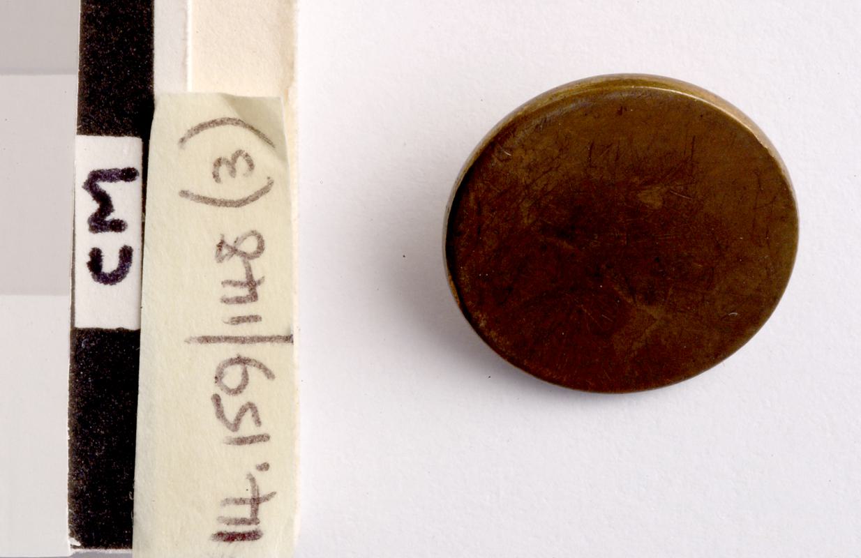 Llanelly and Mynydd Mawr Railway, button