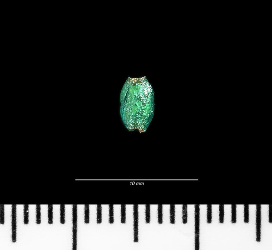 Roman glass biconical bead