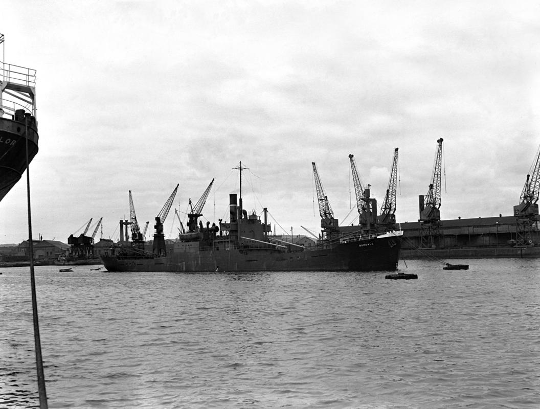 S.S. BURDALE, glass negative