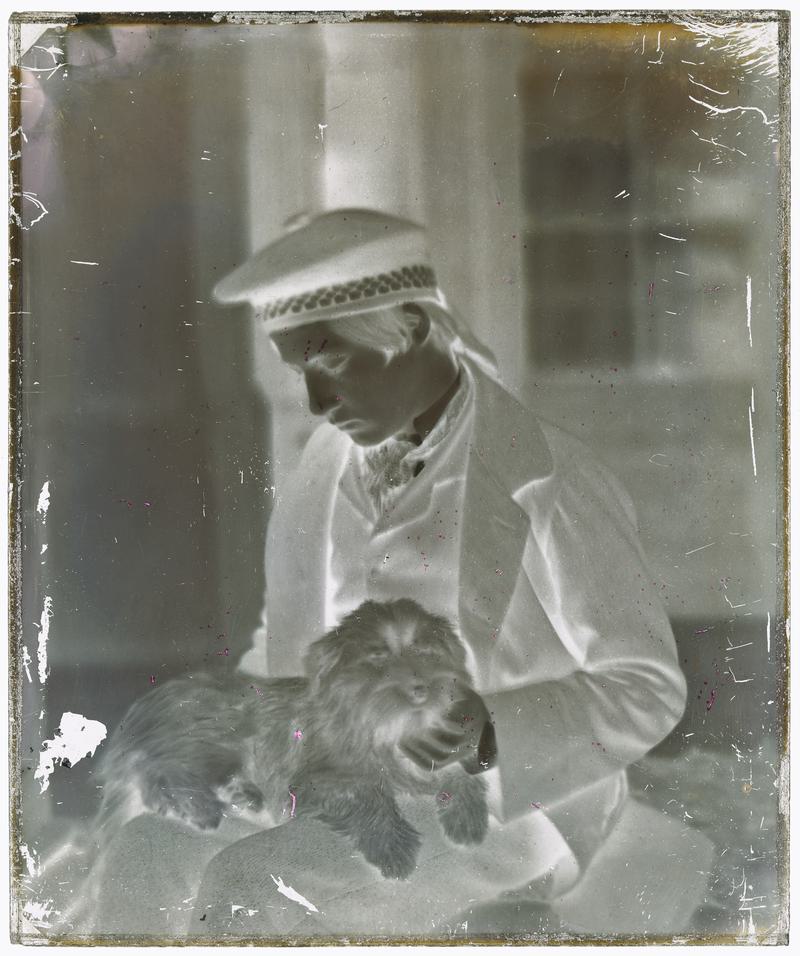 Willy Llewelyn, negative