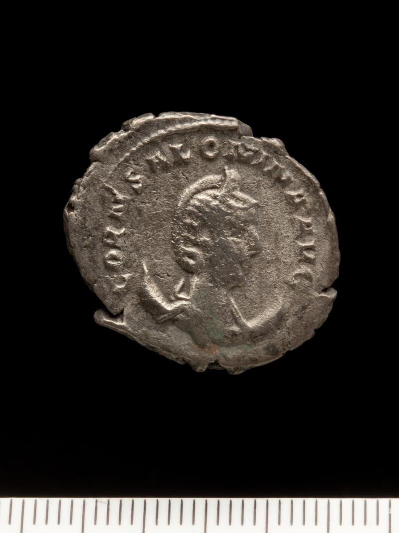 Sully Hoard I (1899)