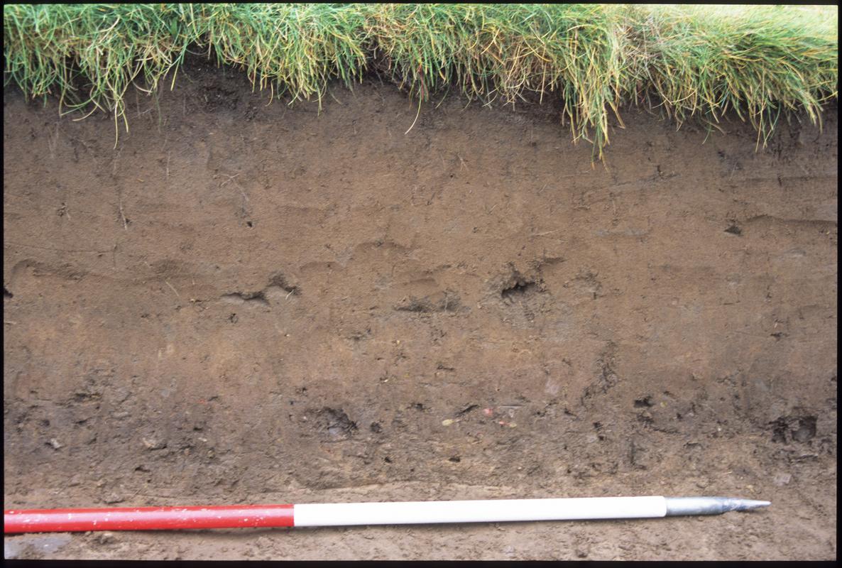 Burry Holms, Gower. 2001 Trench 1 (S). Section at the north of the trench. Sequence shot 6.