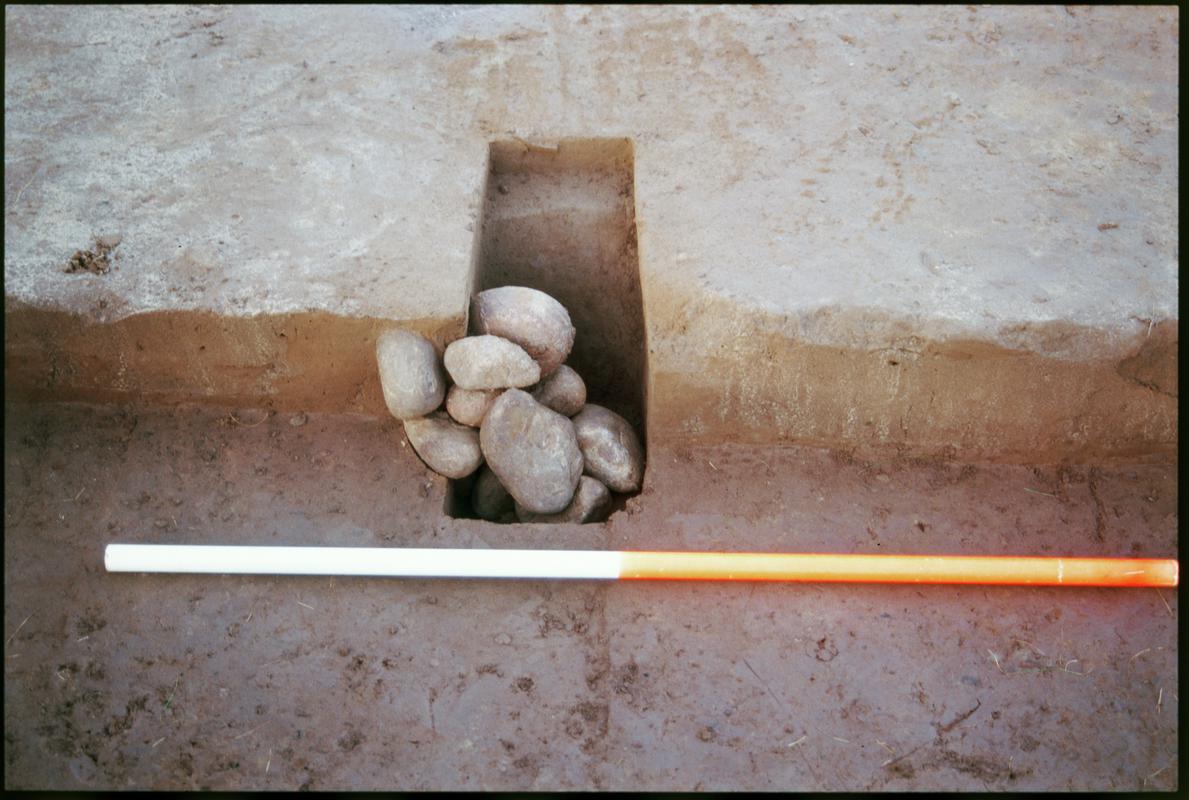 Photographic colour slide