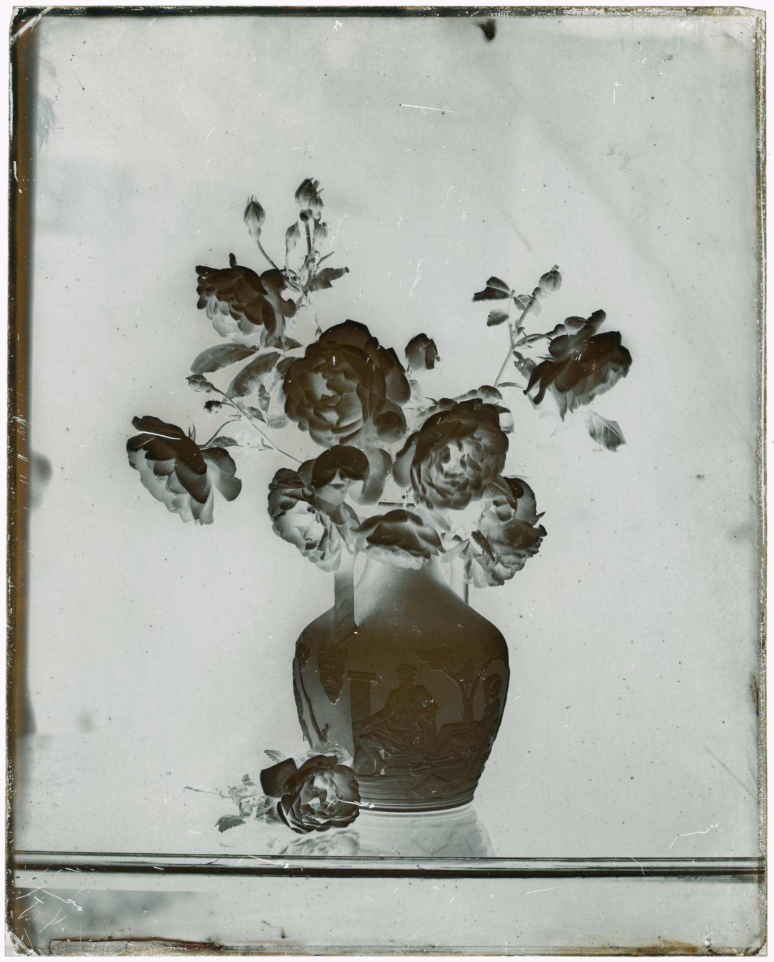 Vase of roses, glass negative
