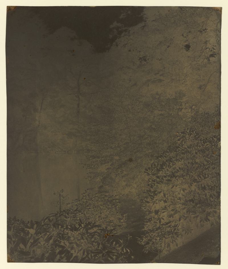 Penllergare, upper lake, paper negative