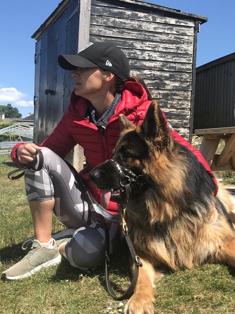 Ffotograff (digidol) | photograph (digital)