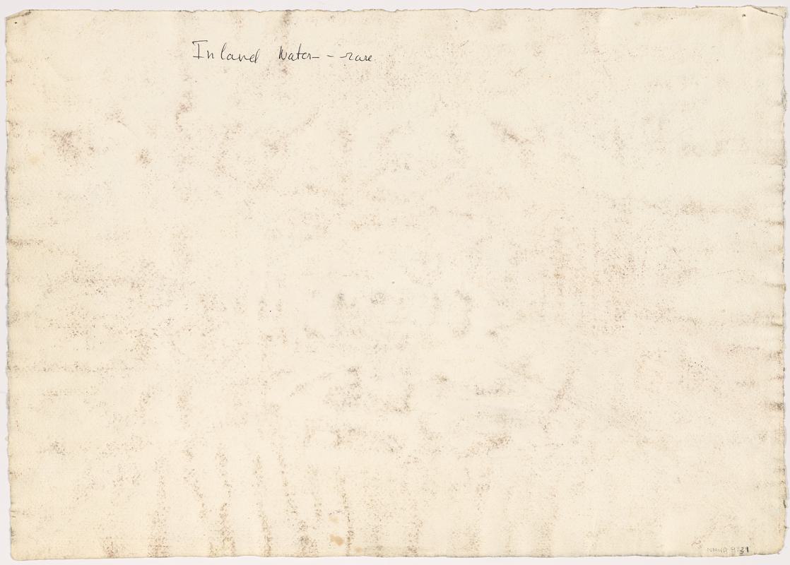 Inland Water / Skomer Rock Pool