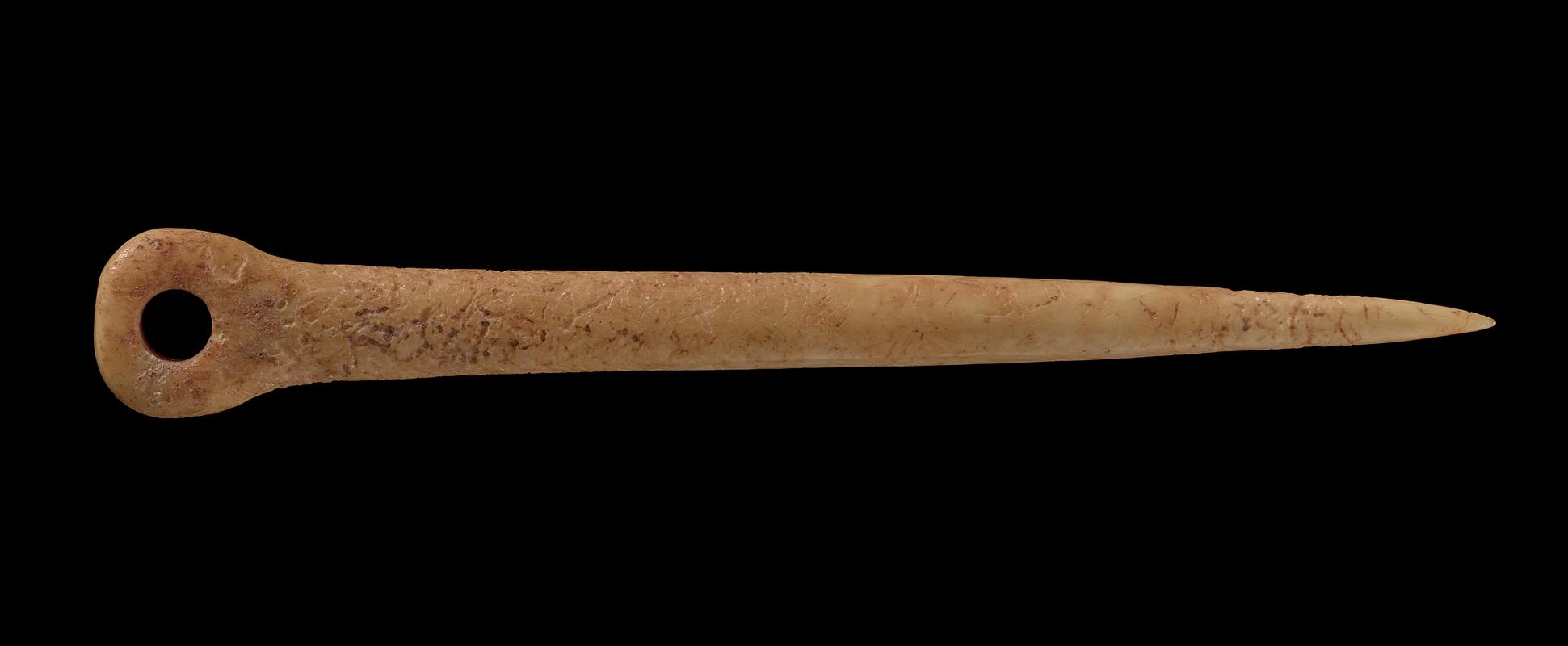 Early Bronze Age bone pin