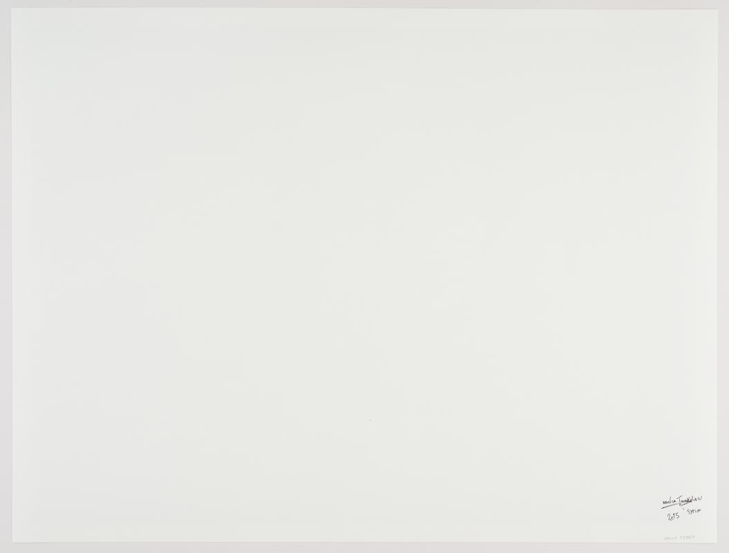 Kurdish women fighters