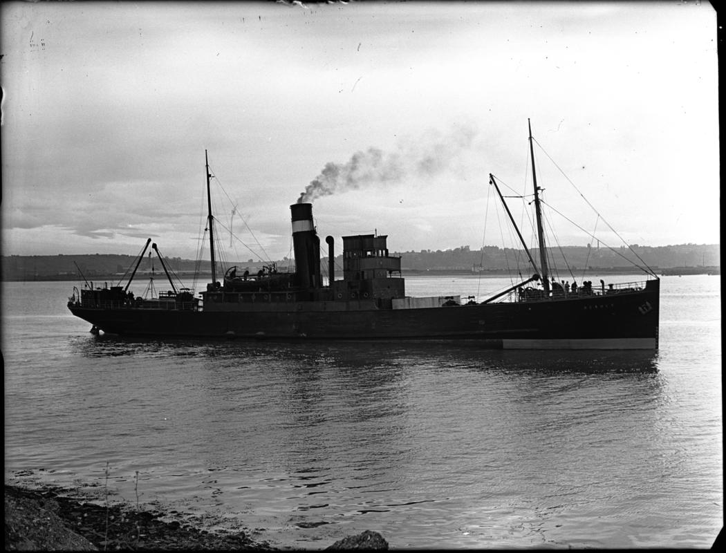 ss BEAULY