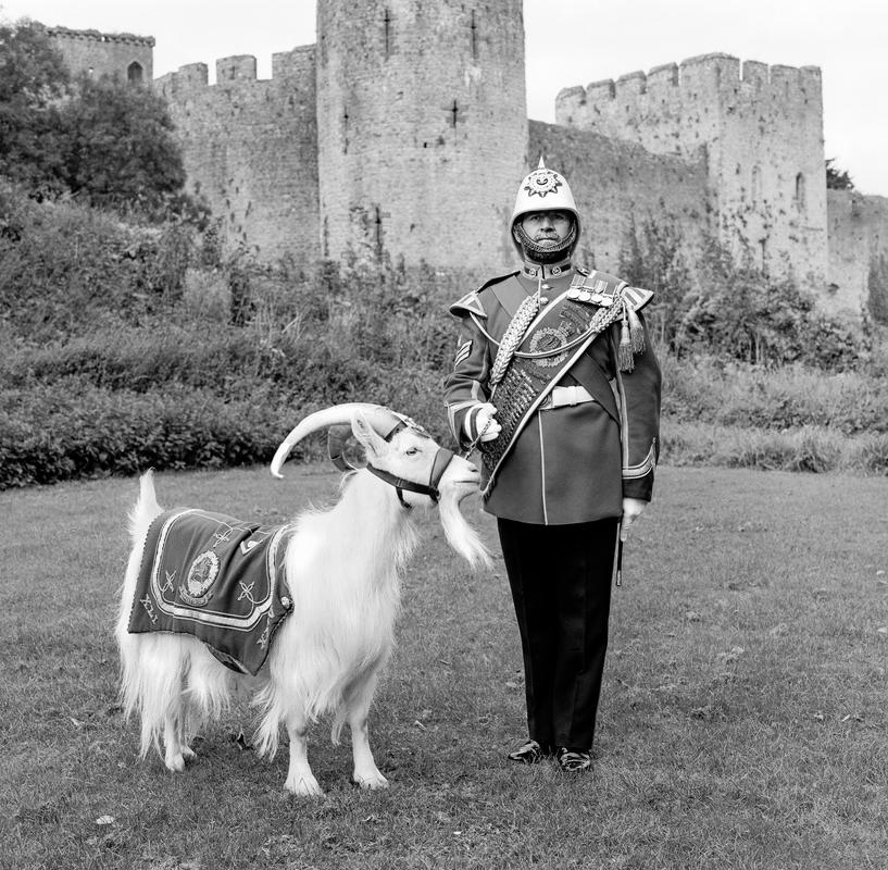 Shenkin II & Sergeant David Joseph (Goat Major). Photo shot: Chepstow, 18th September 2002. SHENKIN II - Place and date of birth: Hereford (Royal Herd) 1997. Main occupation: Army. First language: Goat. Other languages: None. Lived in Wales: Always. SGT DAVID JOSEPH - Place and date of birth: Winslow 1953. Main occupation: Army. First language: English. Other languages: None. Lived in Wales: Always.