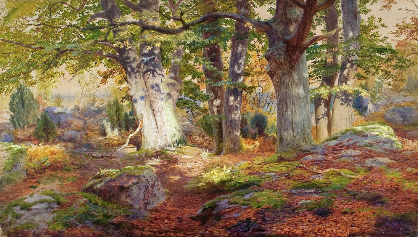 Autumn Sunlight after Rain, Fontainebleau