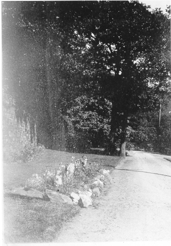 Dinorwic Quarry Hospital, photograph
